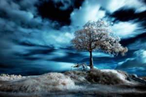 blue-sky-infrared-photography2